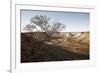 Tree in scenery with Coober Pedy, outback Australia-Rasmus Kaessmann-Framed Photographic Print