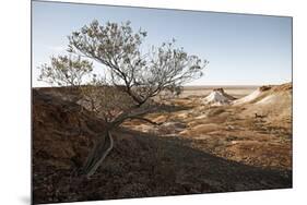 Tree in scenery with Coober Pedy, outback Australia-Rasmus Kaessmann-Mounted Photographic Print