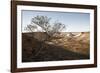 Tree in scenery with Coober Pedy, outback Australia-Rasmus Kaessmann-Framed Photographic Print