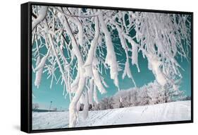 Tree in Snow on Celestial Background-basel101658-Framed Stretched Canvas