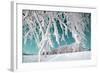 Tree in Snow on Celestial Background-basel101658-Framed Photographic Print
