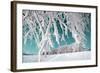 Tree in Snow on Celestial Background-basel101658-Framed Photographic Print