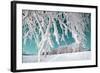 Tree in Snow on Celestial Background-basel101658-Framed Photographic Print