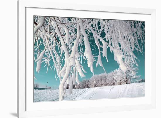 Tree in Snow on Celestial Background-basel101658-Framed Photographic Print