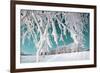 Tree in Snow on Celestial Background-basel101658-Framed Photographic Print