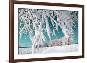 Tree in Snow on Celestial Background-basel101658-Framed Photographic Print