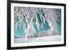 Tree in Snow on Celestial Background-basel101658-Framed Photographic Print