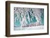 Tree in Snow on Celestial Background-basel101658-Framed Photographic Print