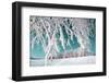 Tree in Snow on Celestial Background-basel101658-Framed Photographic Print