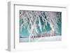 Tree in Snow on Celestial Background-basel101658-Framed Photographic Print