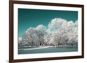 Tree in Snow-basel101658-Framed Photographic Print