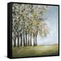 Tree in Spring-Christina Long-Framed Stretched Canvas