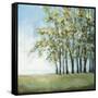 Tree in Summer-Christina Long-Framed Stretched Canvas