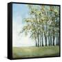 Tree in Summer-Christina Long-Framed Stretched Canvas