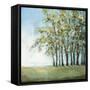 Tree in Summer-Christina Long-Framed Stretched Canvas