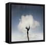 Tree In The Cloud-ValentinaPhotos-Framed Stretched Canvas
