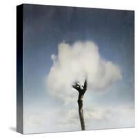 Tree In The Cloud-ValentinaPhotos-Stretched Canvas