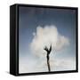 Tree In The Cloud-ValentinaPhotos-Framed Stretched Canvas