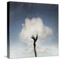 Tree In The Cloud-ValentinaPhotos-Stretched Canvas