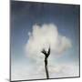 Tree In The Cloud-ValentinaPhotos-Mounted Art Print