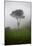 Tree in the Fog Machu Picchu Peru-null-Mounted Poster