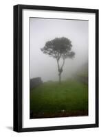 Tree in the Fog Machu Picchu Peru-null-Framed Photo