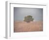 Tree in the fog-Michael Scheufler-Framed Photographic Print