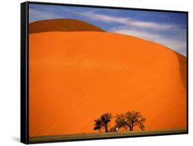Tree in the Namib Desert, Namibia-Walter Bibikow-Framed Stretched Canvas