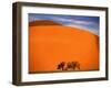 Tree in the Namib Desert, Namibia-Walter Bibikow-Framed Premium Photographic Print