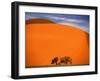 Tree in the Namib Desert, Namibia-Walter Bibikow-Framed Premium Photographic Print