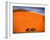 Tree in the Namib Desert, Namibia-Walter Bibikow-Framed Premium Photographic Print