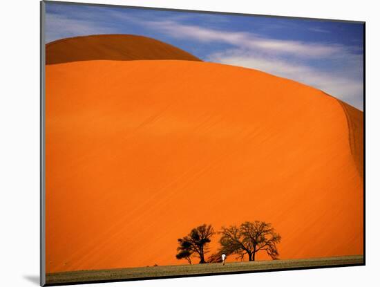 Tree in the Namib Desert, Namibia-Walter Bibikow-Mounted Premium Photographic Print