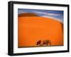 Tree in the Namib Desert, Namibia-Walter Bibikow-Framed Photographic Print