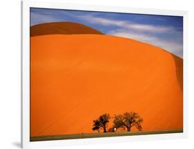 Tree in the Namib Desert, Namibia-Walter Bibikow-Framed Photographic Print