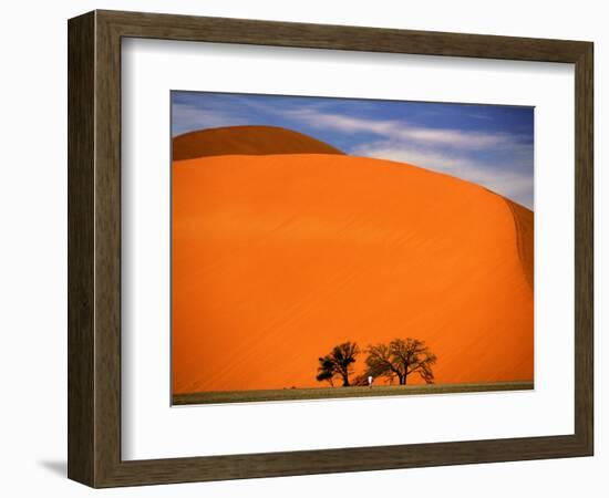Tree in the Namib Desert, Namibia-Walter Bibikow-Framed Photographic Print