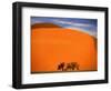 Tree in the Namib Desert, Namibia-Walter Bibikow-Framed Photographic Print