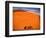 Tree in the Namib Desert, Namibia-Walter Bibikow-Framed Photographic Print