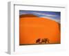 Tree in the Namib Desert, Namibia-Walter Bibikow-Framed Photographic Print