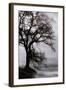 Tree in the Sky-Vincent James-Framed Photographic Print