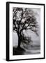 Tree in the Sky-Vincent James-Framed Photographic Print