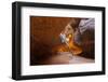 Tree in the Subway - Left Fork in Zion National Park-andrmoel-Framed Photographic Print