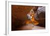 Tree in the Subway - Left Fork in Zion National Park-andrmoel-Framed Photographic Print