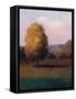 Tree In the Sun-Jason Blackstone-Framed Stretched Canvas