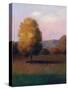 Tree In the Sun-Jason Blackstone-Stretched Canvas