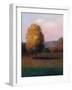 Tree In the Sun-Jason Blackstone-Framed Art Print