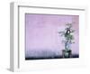 Tree in Vase and Pink Wall-Paul Souders-Framed Photographic Print