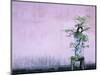 Tree in Vase and Pink Wall-Paul Souders-Mounted Photographic Print