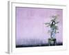 Tree in Vase and Pink Wall-Paul Souders-Framed Photographic Print