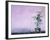 Tree in Vase and Pink Wall-Paul Souders-Framed Photographic Print