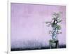 Tree in Vase and Pink Wall-Paul Souders-Framed Photographic Print